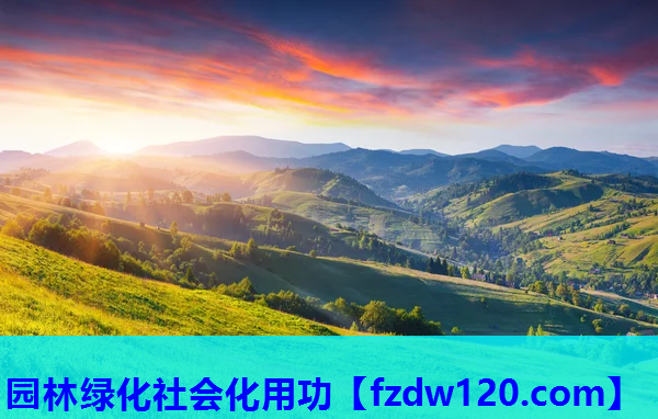 园林绿化社会化用功