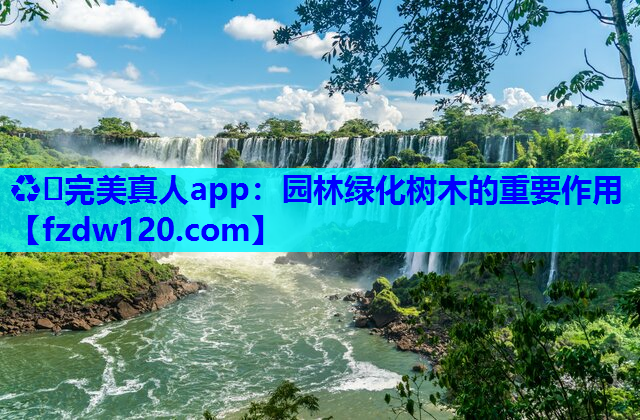 ♻️完美真人app：园林绿化树木的重要作用