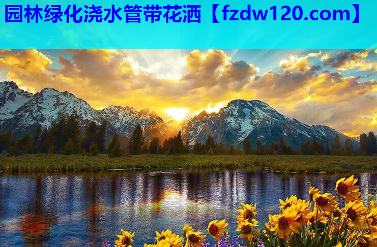 园林绿化浇水管带花洒
