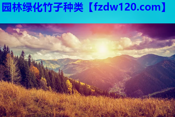 园林绿化竹子种类