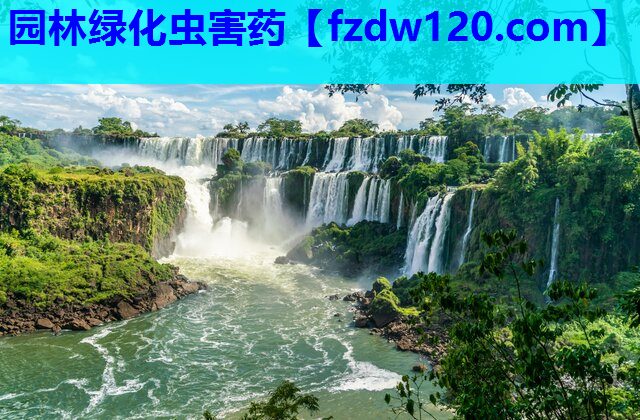 园林绿化虫害药