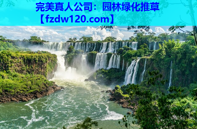 完美真人公司：园林绿化推草
