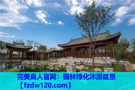 完美真人官网：园林绿化沐派盆景