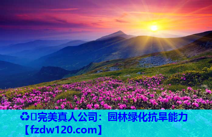 ♻️完美真人公司：园林绿化抗旱能力