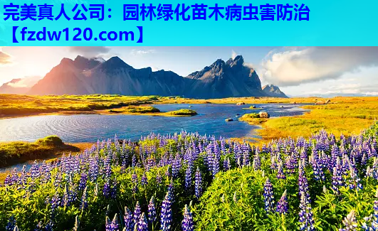 完美真人公司：园林绿化苗木病虫害防治