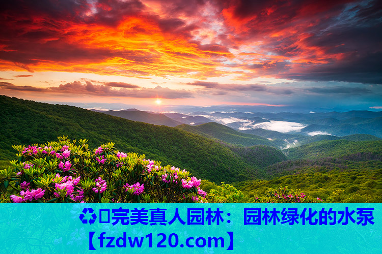♻️完美真人园林：园林绿化的水泵
