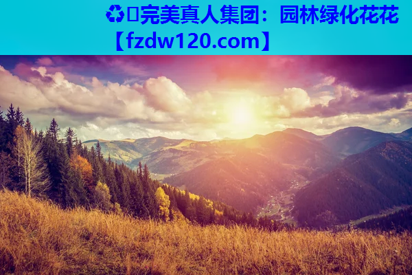 ♻️完美真人集团：园林绿化花花