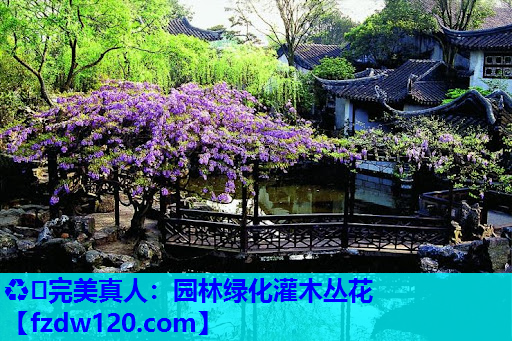 ♻️完美真人：园林绿化灌木丛花