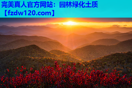 完美真人官方网站：园林绿化土质
