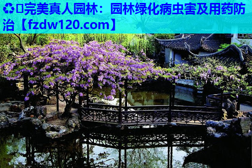 ♻️完美真人园林：园林绿化病虫害及用药防治