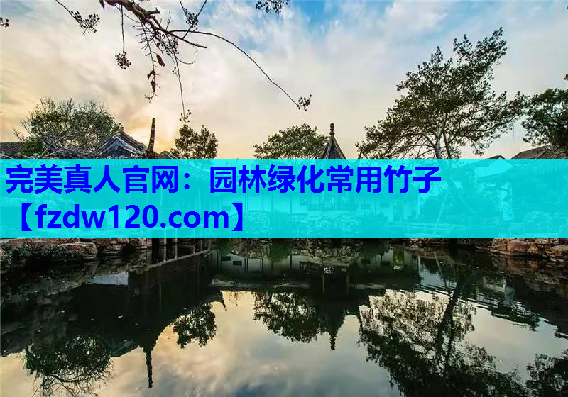 完美真人官网：园林绿化常用竹子