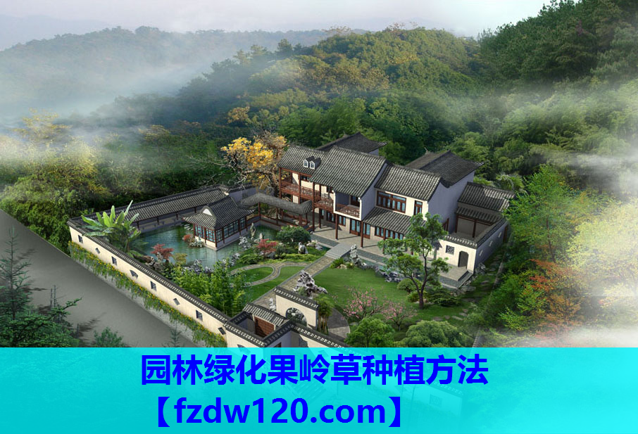 园林绿化果岭草种植方法