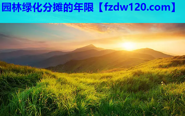 园林绿化分摊的年限