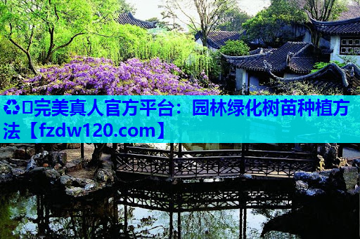 园林绿化树苗种植方法