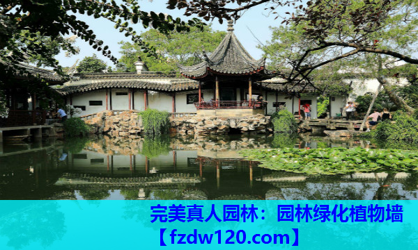 园林绿化植物墙