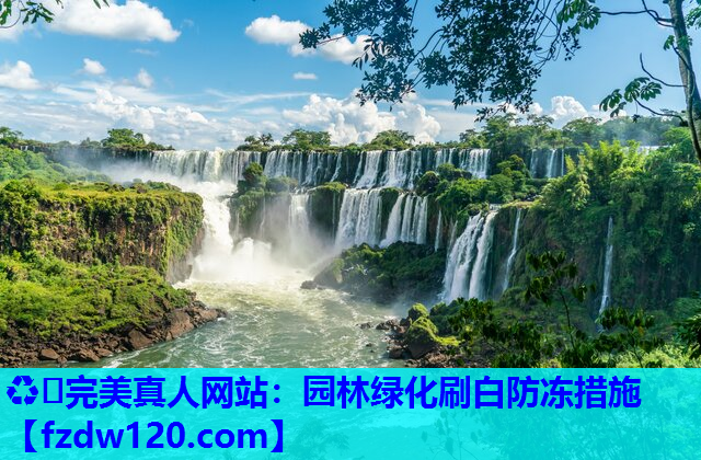 园林绿化刷白防冻措施