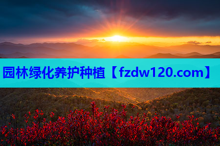 园林绿化养护种植