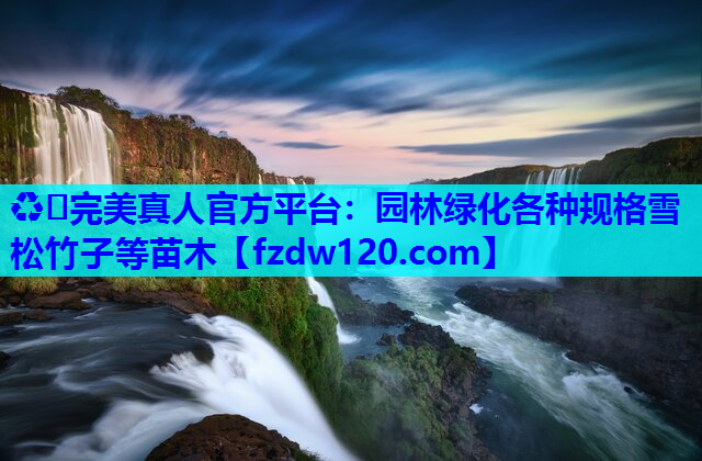 园林绿化各种规格雪松竹子等苗木