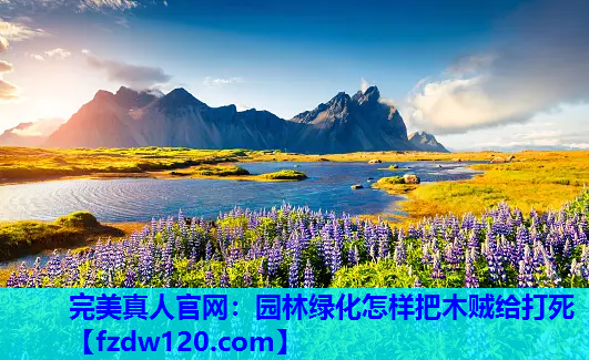 园林绿化怎样把木贼给打死