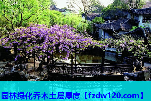 园林绿化乔木土层厚度