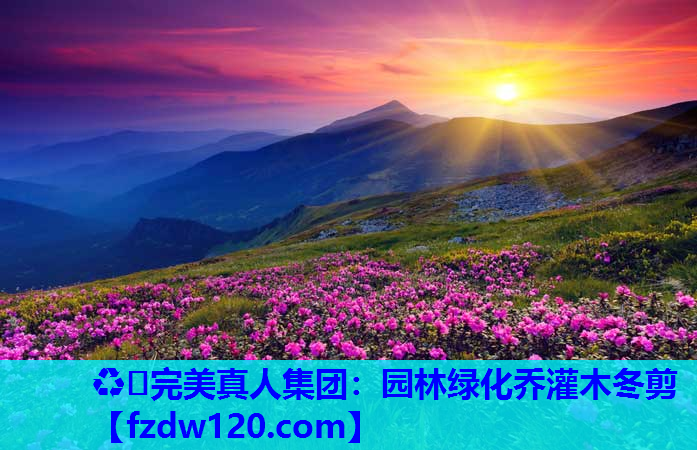 园林绿化乔灌木冬剪