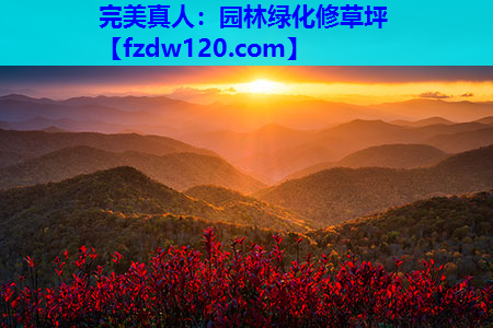园林绿化修草坪