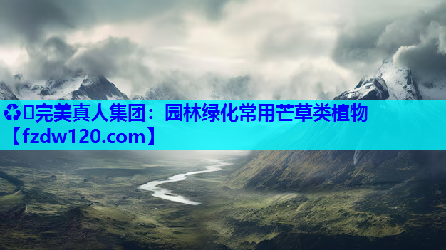 园林绿化常用芒草类植物