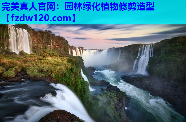园林绿化植物修剪造型