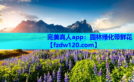 园林绿化带鲜花