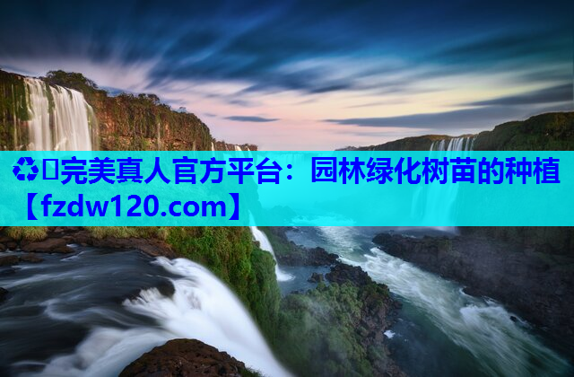 园林绿化树苗的种植