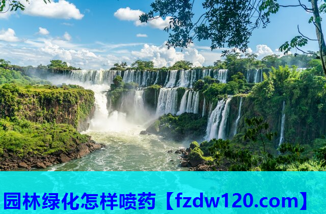 园林绿化怎样喷药