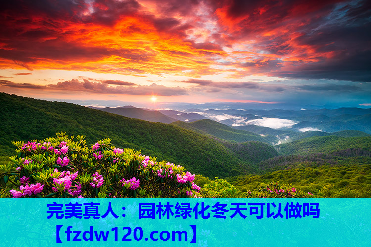 园林绿化冬天可以做吗