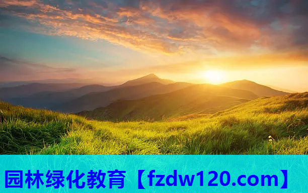 园林绿化教育