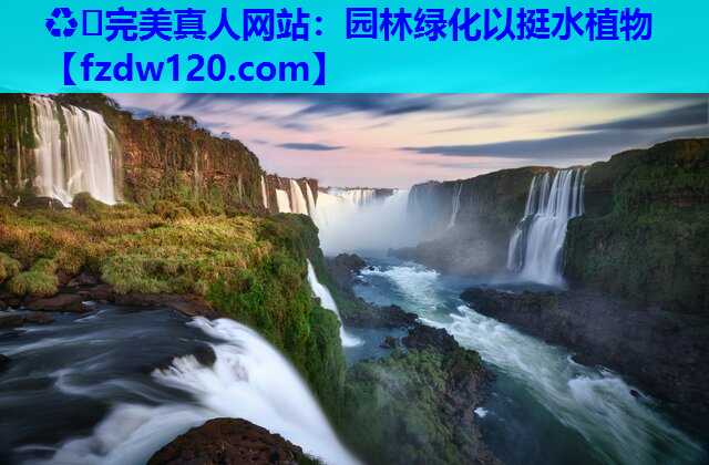 园林绿化以挺水植物