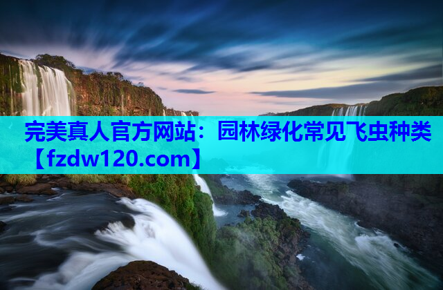 园林绿化常见飞虫种类