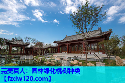 园林绿化桃树种类