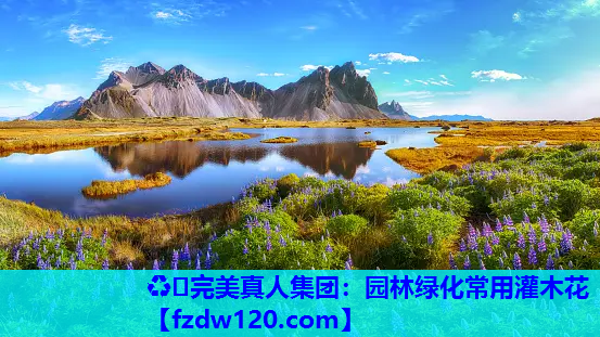 园林绿化常用灌木花 园林绿化常用灌木花