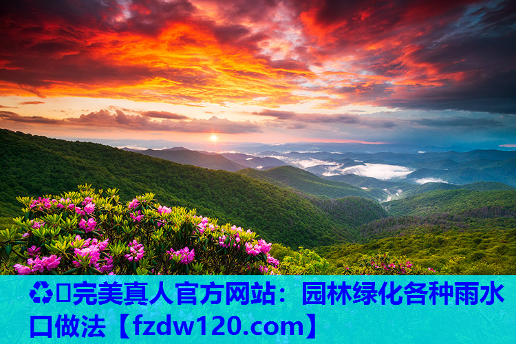 园林绿化各种雨水口做法
