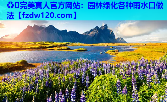 园林绿化各种雨水口做法