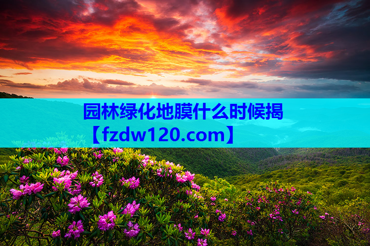 园林绿化地膜什么时候揭