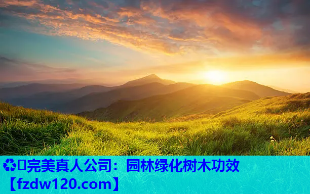 园林绿化树木功效