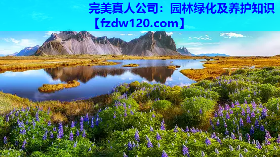 园林绿化及养护知识