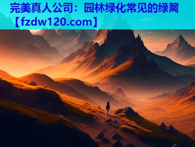 园林绿化常见的绿篱