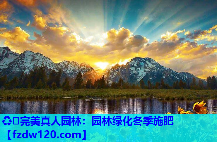 园林绿化冬季施肥