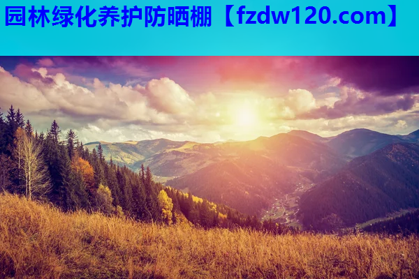 园林绿化养护防晒棚
