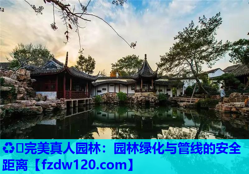 园林绿化与管线的安全距离