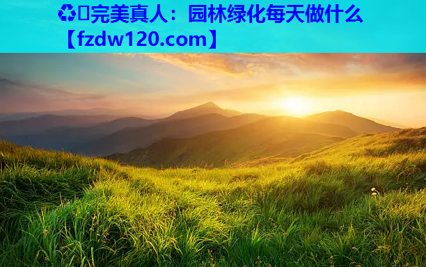 园林绿化每天做什么