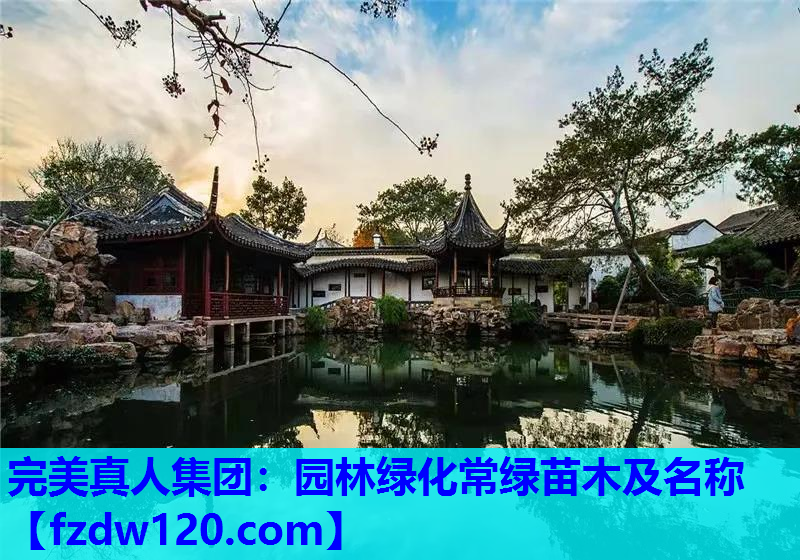 园林绿化常绿苗木及名称
