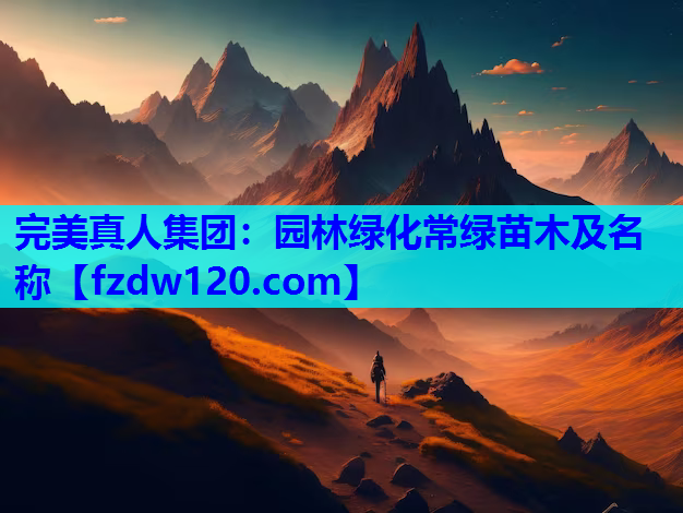 园林绿化常绿苗木及名称