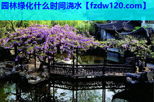 园林绿化什么时间浇水
